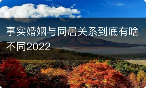 事实婚姻与同居关系到底有啥不同2022