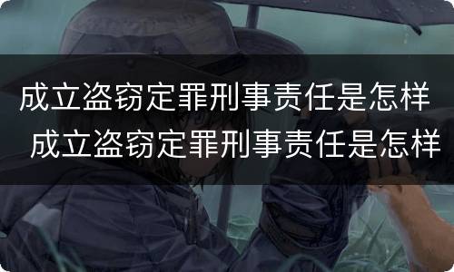 成立盗窃定罪刑事责任是怎样 成立盗窃定罪刑事责任是怎样定义的