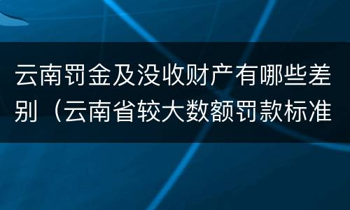 云南罚金及没收财产有哪些差别（云南省较大数额罚款标准）