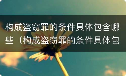 构成盗窃罪的条件具体包含哪些（构成盗窃罪的条件具体包含哪些内容）