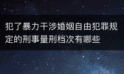 犯了暴力干涉婚姻自由犯罪规定的刑事量刑档次有哪些