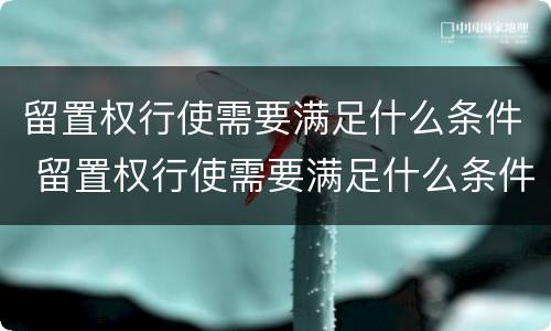 留置权行使需要满足什么条件 留置权行使需要满足什么条件呢