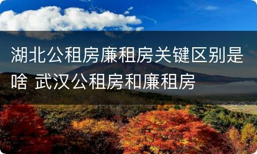 湖北公租房廉租房关键区别是啥 武汉公租房和廉租房