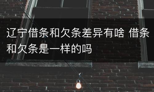 辽宁借条和欠条差异有啥 借条和欠条是一样的吗