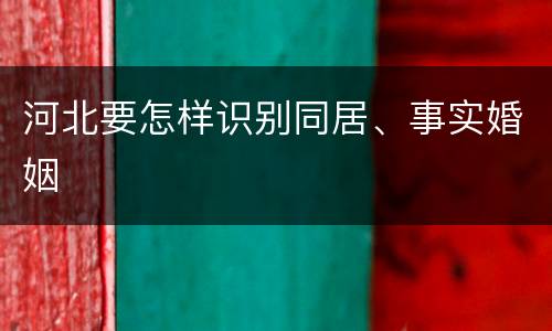 河北要怎样识别同居、事实婚姻