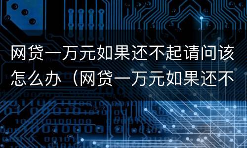 网贷一万元如果还不起请问该怎么办（网贷一万元如果还不起请问该怎么办呢）