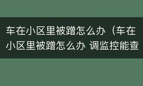 车在小区里被蹭怎么办（车在小区里被蹭怎么办 调监控能查到吗）