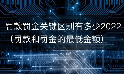 罚款罚金关键区别有多少2022（罚款和罚金的最低金额）