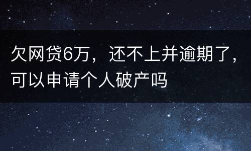 欠网贷6万，还不上并逾期了，可以申请个人破产吗