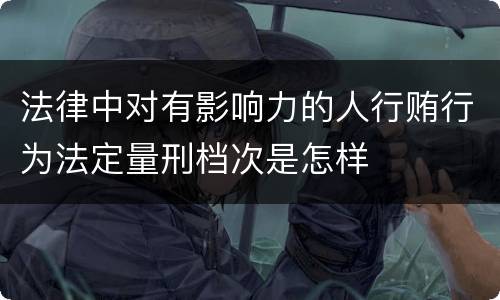 法律中对有影响力的人行贿行为法定量刑档次是怎样