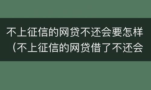 不上征信的网贷不还会要怎样（不上征信的网贷借了不还会怎样）