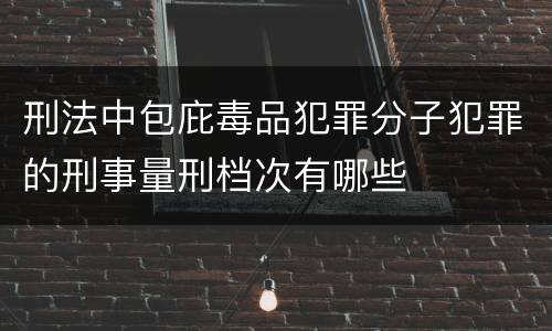 刑法中包庇毒品犯罪分子犯罪的刑事量刑档次有哪些