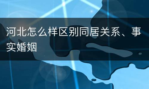 河北怎么样区别同居关系、事实婚姻