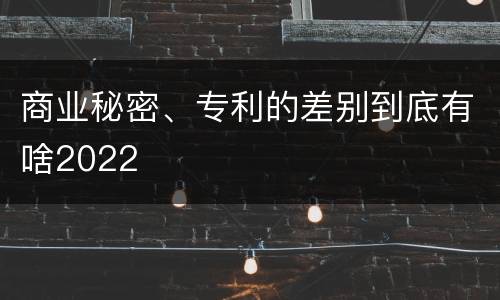 商业秘密、专利的差别到底有啥2022