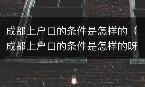 成都上户口的条件是怎样的（成都上户口的条件是怎样的呀）