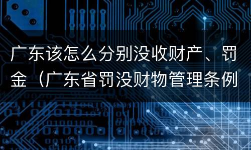 广东该怎么分别没收财产、罚金（广东省罚没财物管理条例）