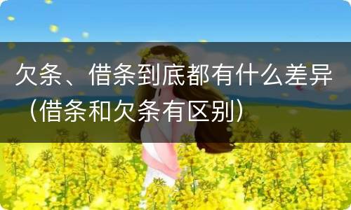 欠条、借条到底都有什么差异（借条和欠条有区别）