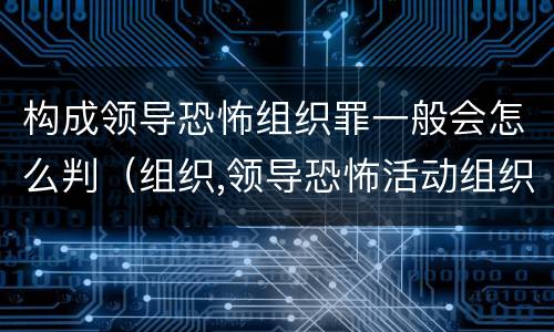 构成领导恐怖组织罪一般会怎么判（组织,领导恐怖活动组织的）