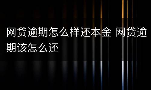 网贷逾期怎么样还本金 网贷逾期该怎么还