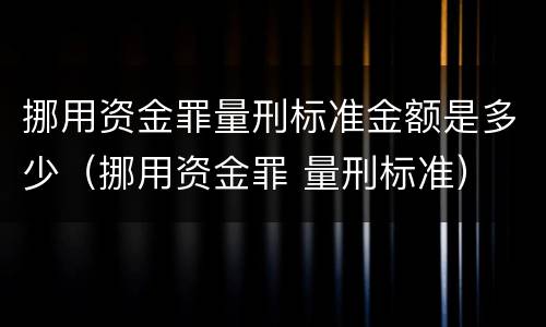 挪用资金罪量刑标准金额是多少（挪用资金罪 量刑标准）