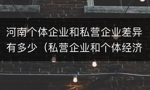 河南个体企业和私营企业差异有多少（私营企业和个体经济的区别）