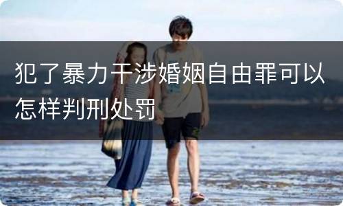 犯了暴力干涉婚姻自由罪可以怎样判刑处罚