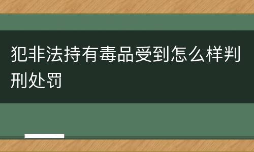 犯非法持有毒品受到怎么样判刑处罚