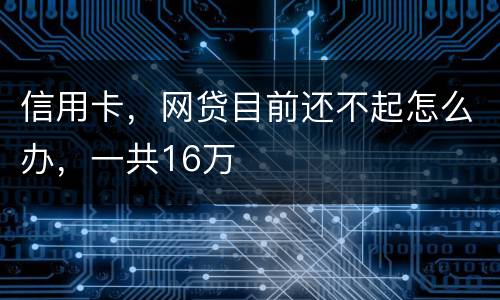 信用卡，网贷目前还不起怎么办，一共16万