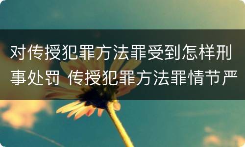 对传授犯罪方法罪受到怎样刑事处罚 传授犯罪方法罪情节严重的解释有吗