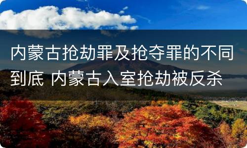 内蒙古抢劫罪及抢夺罪的不同到底 内蒙古入室抢劫被反杀