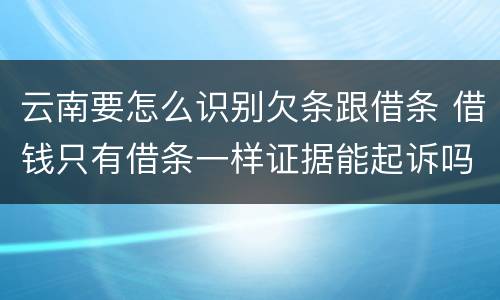 云南要怎么识别欠条跟借条 借钱只有借条一样证据能起诉吗