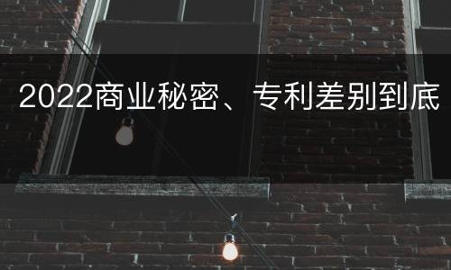 2022商业秘密、专利差别到底