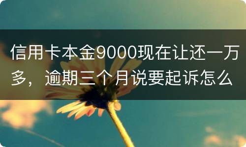 信用卡本金9000现在让还一万多，逾期三个月说要起诉怎么应对