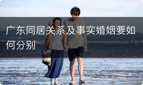 广东同居关系及事实婚姻要如何分别