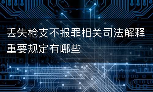 丢失枪支不报罪相关司法解释重要规定有哪些