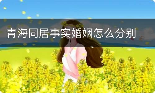 青海同居事实婚姻怎么分别