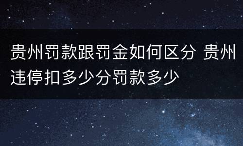 贵州罚款跟罚金如何区分 贵州违停扣多少分罚款多少