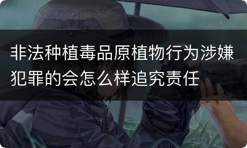 非法种植毒品原植物行为涉嫌犯罪的会怎么样追究责任