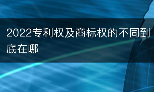 2022专利权及商标权的不同到底在哪