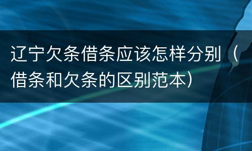 辽宁欠条借条应该怎样分别（借条和欠条的区别范本）