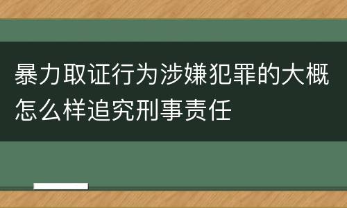 暴力取证行为涉嫌犯罪的大概怎么样追究刑事责任