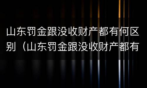 山东罚金跟没收财产都有何区别（山东罚金跟没收财产都有何区别呢）