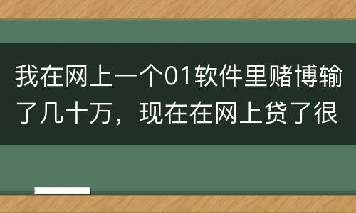 我在网上一个01软件里赌博输了几十万，现在在网上贷了很多网贷，还不起了，怎么办