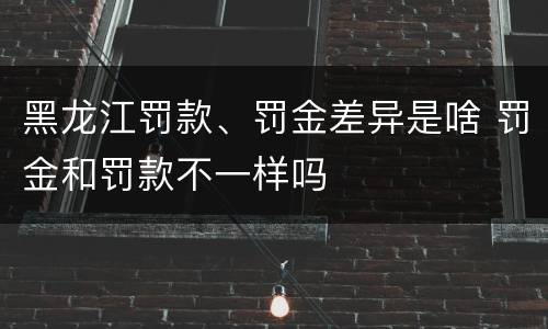 黑龙江罚款、罚金差异是啥 罚金和罚款不一样吗