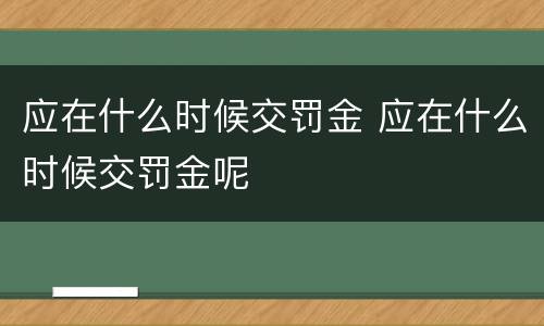 应在什么时候交罚金 应在什么时候交罚金呢