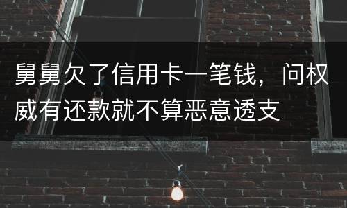 舅舅欠了信用卡一笔钱，问权威有还款就不算恶意透支