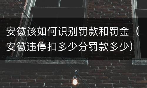 安徽该如何识别罚款和罚金（安徽违停扣多少分罚款多少）