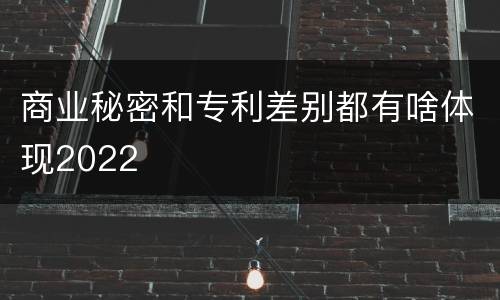 商业秘密和专利差别都有啥体现2022