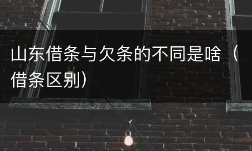 山东借条与欠条的不同是啥（借条区别）