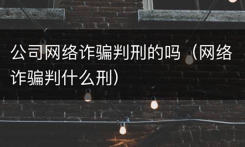 公司网络诈骗判刑的吗（网络诈骗判什么刑）